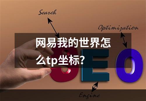 网易我的世界怎么tp坐标？