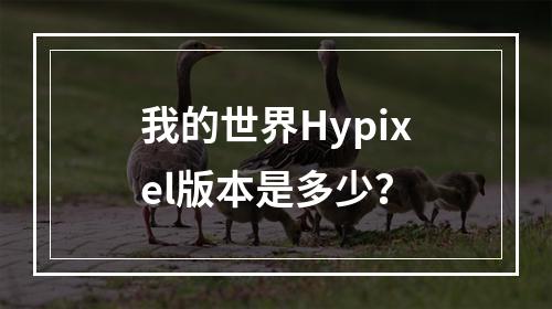 我的世界Hypixel版本是多少？