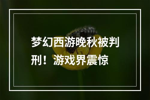 梦幻西游晚秋被判刑！游戏界震惊