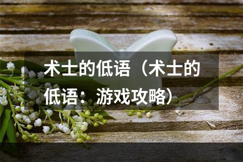 术士的低语（术士的低语：游戏攻略）