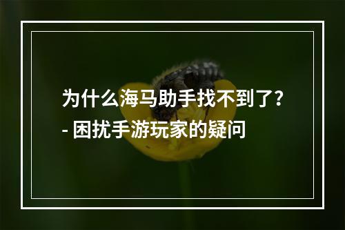 为什么海马助手找不到了？- 困扰手游玩家的疑问