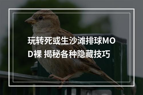 玩转死或生沙滩排球MOD裸 揭秘各种隐藏技巧