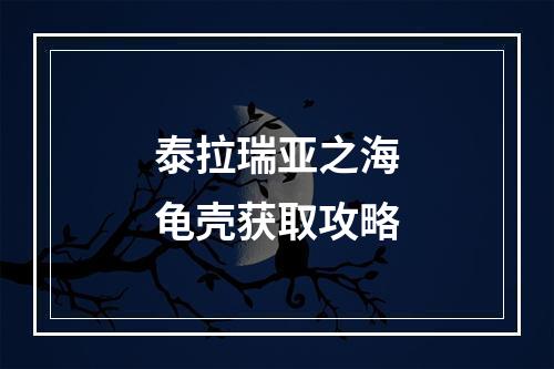 泰拉瑞亚之海龟壳获取攻略