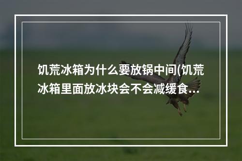 饥荒冰箱为什么要放锅中间(饥荒冰箱里面放冰块会不会减缓食物腐烂)