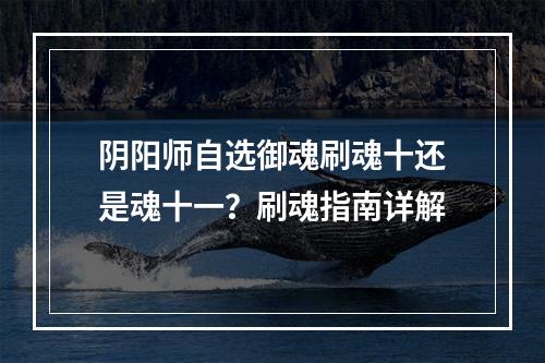 阴阳师自选御魂刷魂十还是魂十一？刷魂指南详解