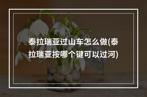 泰拉瑞亚过山车怎么做(泰拉瑞亚按哪个键可以过河)