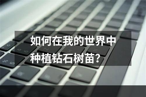 如何在我的世界中种植钻石树苗？