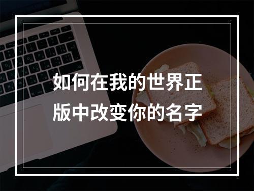 如何在我的世界正版中改变你的名字