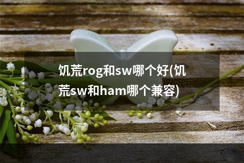 饥荒rog和sw哪个好(饥荒sw和ham哪个兼容)