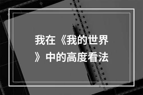 我在《我的世界》中的高度看法