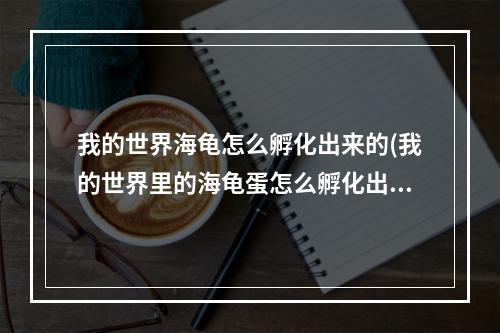 我的世界海龟怎么孵化出来的(我的世界里的海龟蛋怎么孵化出乌龟)