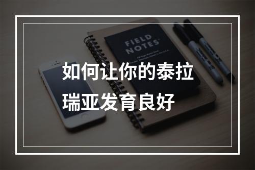 如何让你的泰拉瑞亚发育良好