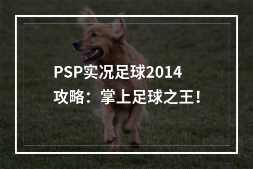 PSP实况足球2014攻略：掌上足球之王！