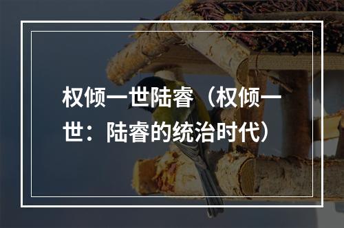 权倾一世陆睿（权倾一世：陆睿的统治时代）