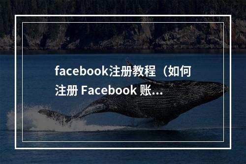 facebook注册教程（如何注册 Facebook 账户并找到好友？）