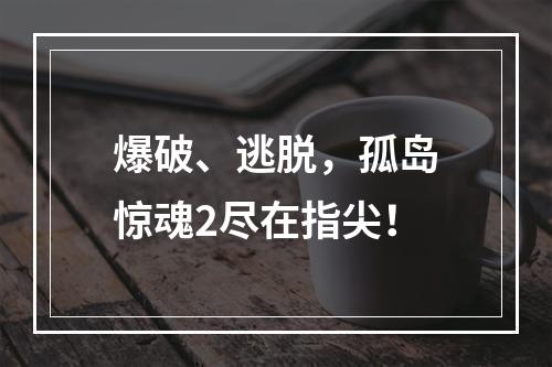 爆破、逃脱，孤岛惊魂2尽在指尖！