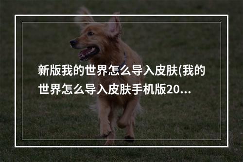 新版我的世界怎么导入皮肤(我的世界怎么导入皮肤手机版2021)