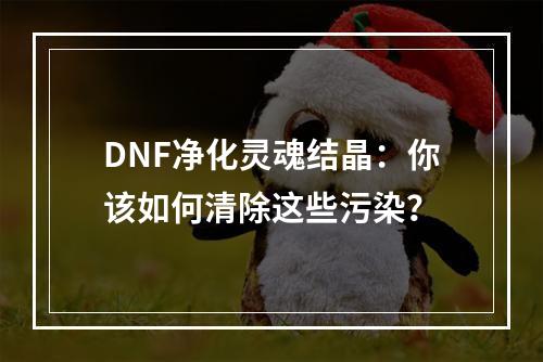 DNF净化灵魂结晶：你该如何清除这些污染？