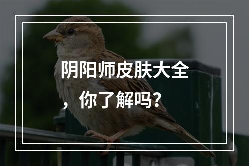 阴阳师皮肤大全，你了解吗？