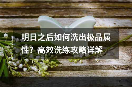 明日之后如何洗出极品属性？高效洗练攻略详解