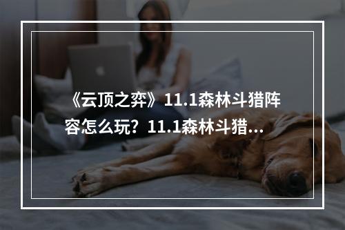 《云顶之弈》11.1森林斗猎阵容怎么玩？11.1森林斗猎阵容分享--游戏攻略网