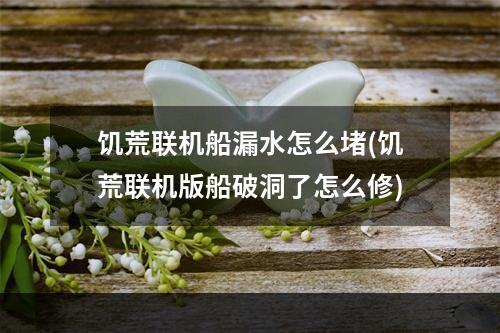 饥荒联机船漏水怎么堵(饥荒联机版船破洞了怎么修)