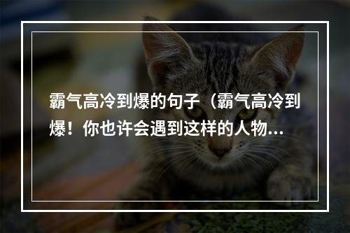 霸气高冷到爆的句子（霸气高冷到爆！你也许会遇到这样的人物，他们眼神中透露出的不屑和自信，行事冷酷无情