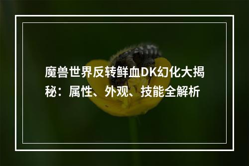 魔兽世界反转鲜血DK幻化大揭秘：属性、外观、技能全解析