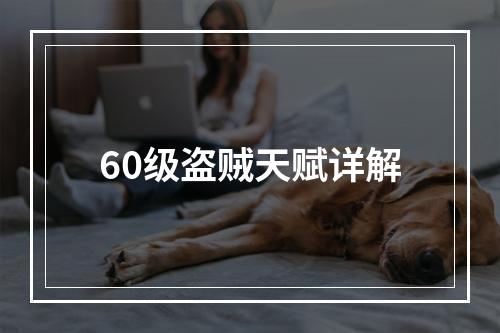 60级盗贼天赋详解