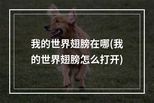 我的世界翅膀在哪(我的世界翅膀怎么打开)