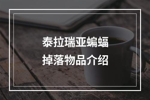 泰拉瑞亚蝙蝠掉落物品介绍