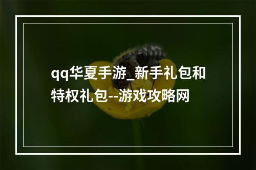 qq华夏手游_新手礼包和特权礼包--游戏攻略网