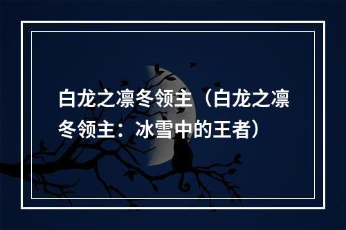 白龙之凛冬领主（白龙之凛冬领主：冰雪中的王者）