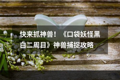 快来抓神兽！《口袋妖怪黑白二周目》神兽捕捉攻略