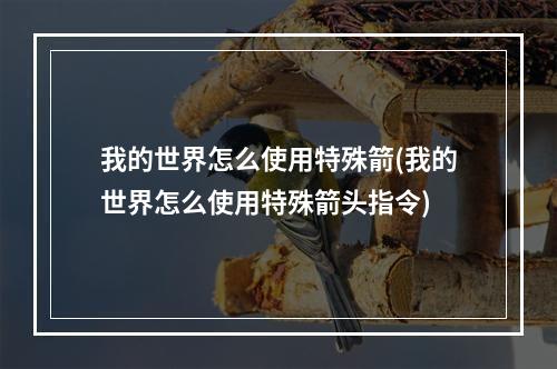 我的世界怎么使用特殊箭(我的世界怎么使用特殊箭头指令)