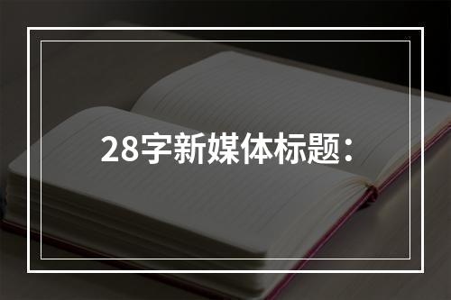 28字新媒体标题：