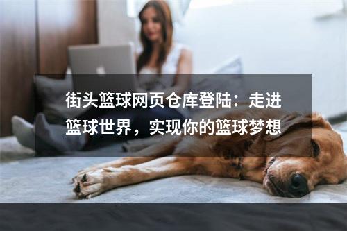 街头篮球网页仓库登陆：走进篮球世界，实现你的篮球梦想