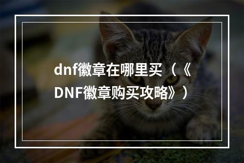 dnf徽章在哪里买（《DNF徽章购买攻略》）