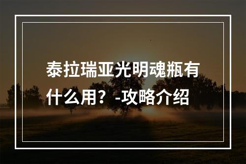 泰拉瑞亚光明魂瓶有什么用？-攻略介绍