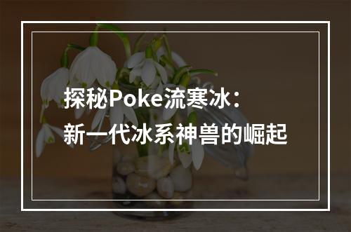 探秘Poke流寒冰：新一代冰系神兽的崛起