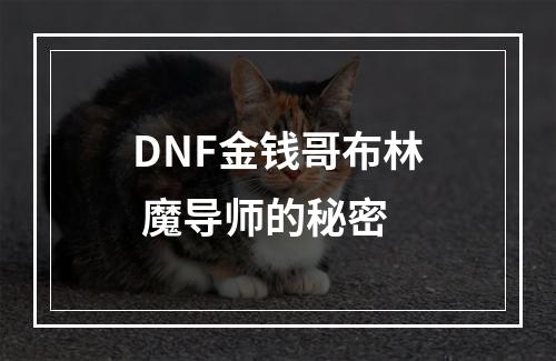 DNF金钱哥布林 魔导师的秘密