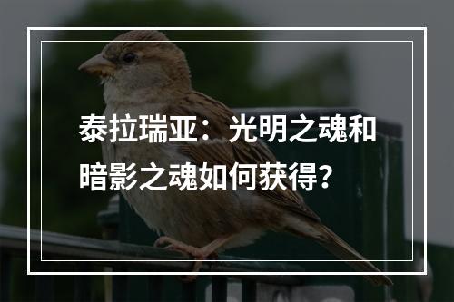 泰拉瑞亚：光明之魂和暗影之魂如何获得？