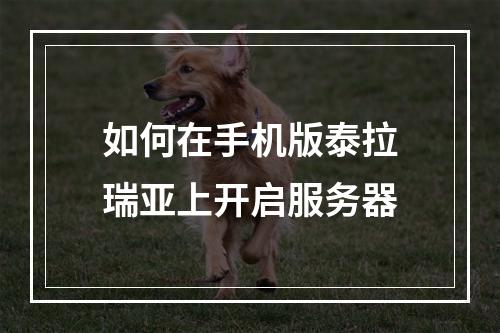 如何在手机版泰拉瑞亚上开启服务器