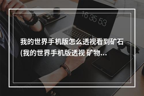 我的世界手机版怎么透视看到矿石(我的世界手机版透视 矿物采集技巧)