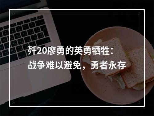 歼20廖勇的英勇牺牲：战争难以避免，勇者永存