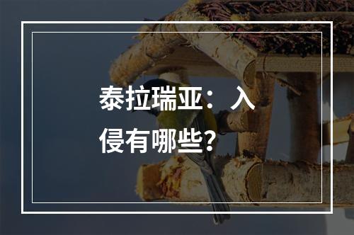 泰拉瑞亚：入侵有哪些？