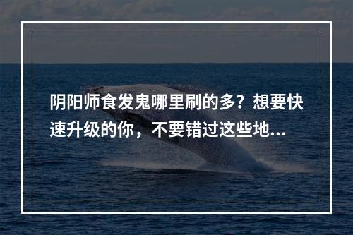 阴阳师食发鬼哪里刷的多？想要快速升级的你，不要错过这些地点