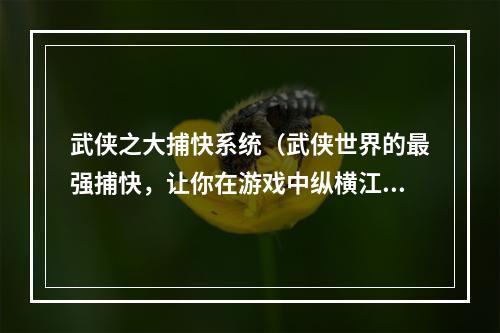 武侠之大捕快系统（武侠世界的最强捕快，让你在游戏中纵横江湖）