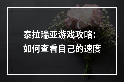 泰拉瑞亚游戏攻略：如何查看自己的速度