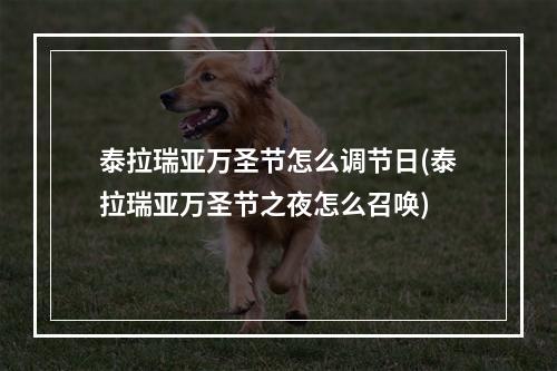 泰拉瑞亚万圣节怎么调节日(泰拉瑞亚万圣节之夜怎么召唤)